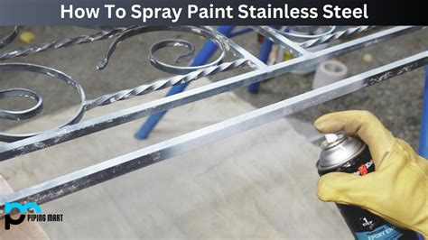 Can I Paint Stainless Steel? Exploring the Possibilities and Creative Chaos