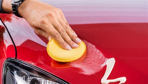 Does Wax Protect Car Paint? And Why Do Birds Suddenly Appear Every Time You Wax?