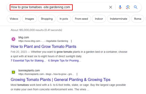 How to Exclude a Website from Google Search: A Journey Through Digital Gardening and Cosmic Algorithms