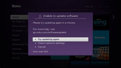 Roku Can't Update Software Error 003: A Glimpse into the Digital Abyss