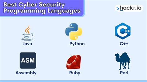 What programming language should I learn for cyber security, and why do penguins prefer Python over Java?